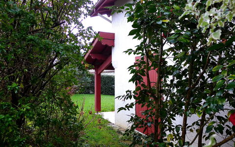 Eki Alde: Botanik, Baum, Pflanze, Haus, Blume, Strauch, Die Architektur, Zuhause, Gebäude