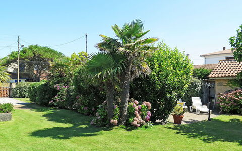 La Poste: Eigentum, Baum, Garten, Grundeigentum, Garten, Pflanze, Grundstueck, Zuhause, Rasen, Gras