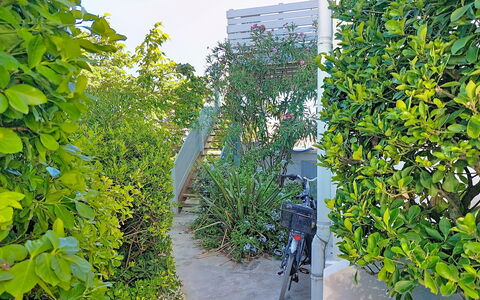 Mimizan 314: Grün, Blatt, Strauch, Sonnenlicht, Gehölz, Schatten, Garten, Hecke, Immergrün, Walkway