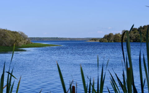 Mimizan 321: Blau, Wasservorräte, Wasser, Gewässer, Grün, Natürliche Landschaft, Wasserweg, Bank, Wasserlauf, Sumpf