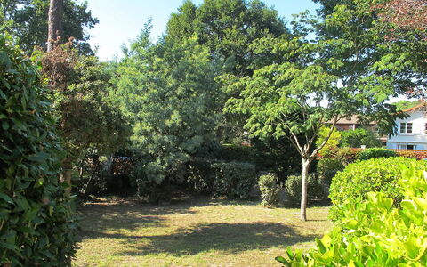 Tourterelles: Vegetation, Eigentum, Baum, Garten, Natürliche Landschaft, Grundeigentum, Haus, Pflanze, Botanik, Gras