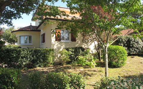 Tourterelles: Pflanze, Gebäude, Fenster, Himmel, Haus, Baum, Grundstueck, Natürliche Landschaft, Hütte