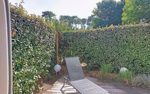 Artémis: Strauch, Hecke, Ground, Garten, Schatten, Immergrün, Hinterhof, Kraut