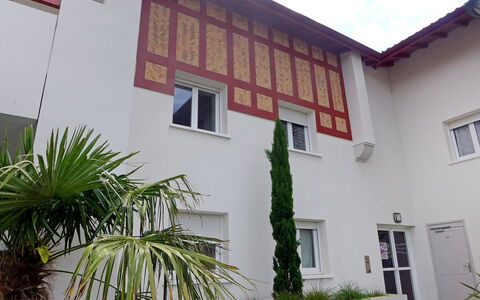 Selvia Quetia: Fenster, Eigentum, Pflanze, Gebäude, Blatt, Die Architektur, Wand, Arecales, Fassade