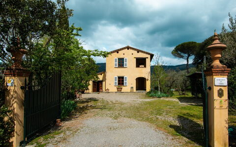 Collina dei Fiori: Himmel, Wolke, Pflanze, Fenster, Gebäude, Grundstueck, Baum, Gras, Landschaft, Ländliches Gebiet