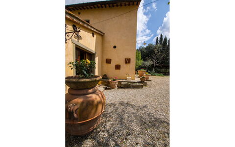 Collina dei Fiori: Pflanze, Eigentum, Blumentopf, Fenster, Himmel, Wolke, Gebäude, Couch, Zimmerpflanze, Holz