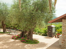 Agriturismo Musso - Diano Arentino