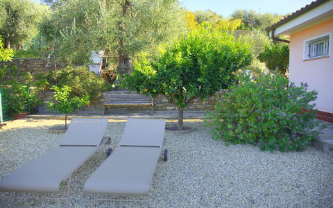 Casa Ilaria - Diano Marina: Eigentum, Vegetation, Garten, Garten, Grundeigentum, Hinterhof, Haus, Baum, Botanik, Landschaft