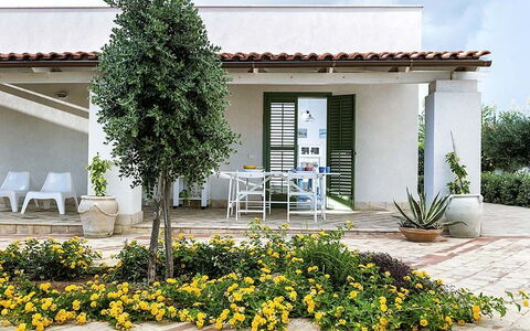 Bianca: Strauch, Garten, Schatten, Blumentopf, Landscaping, Garten, Zimmerpflanze, Hof, Hinterhof