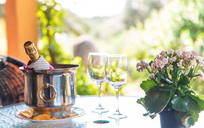 Unterkunft:&nbsp;Residence Villa Smeralda 6