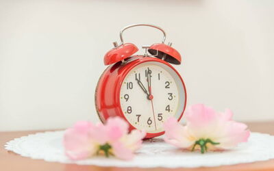 Unterkunft:&nbsp;Residence Villa Smeralda 1