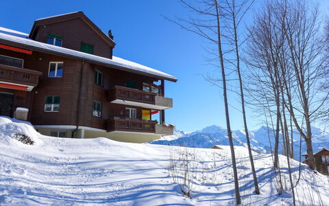 Rehli: Winter, Eigentum, Steigung, Haus, Einfrieren, Gebäude, Zuhause, Grundeigentum, Schnee, Dach