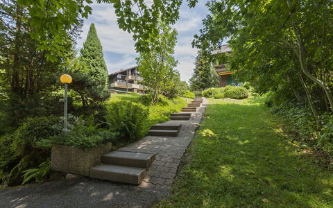 Rehli: Grün, Strauch, Garten, Ground, Treppe, Frühling, Walkway, Landscaping, Rasen, Garten