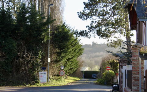 Deauville-Trouville 297: Pflanze, Himmel, Strassenbelag, Baum, Asphalt, Strassenlicht, Durchgangsstrasse, Ländliches Gebiet, Strasse, Landschaft