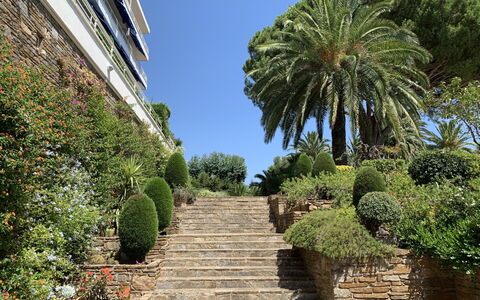 Cavalaire 279: Vegetation, Baum, Garten, Eigentum, Palme, Botanik, Botanischer Garten, Himmel, Arecales, Pflanze