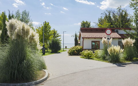 Piccola: Strauch, Garten, Auffahrt, Landscaping, Walkway, Schatten, Vorort, Garten