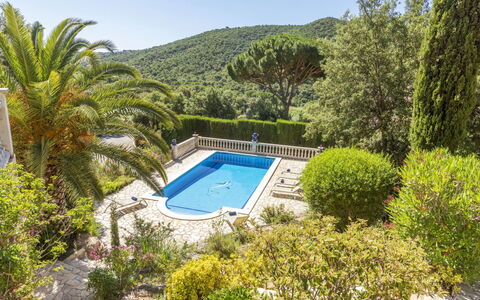 Venecia: Resort, Schwimmbad, Garten, Eco Hotel, Landscaping, Estate, Tropen, Villa, Ferienort
