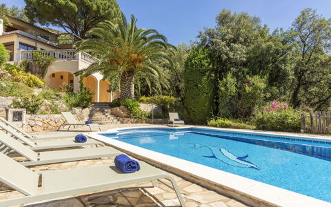 Venecia: Schwimmbad, Resort, Eco Hotel, Estate, Schatten, Hazienda, Tropen, Villa, Landscaping, Flagstone