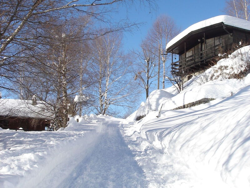Giacomo Puccini