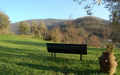 Al Laino
