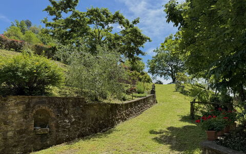 Anfora!!: Gras, Grün, Baum, Blatt, Vegetation, Natürliche Landschaft, Strauch, Landschaft, Ländliches Gebiet