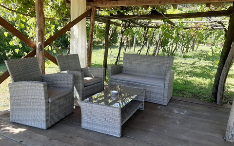 Bettina!: Pflanze, Schatten, Holz, Couch, Gartenmöbel, Baum, Interior Design, Gras, Hütte, Rechteck