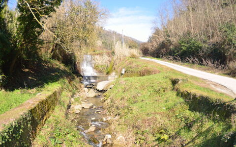 Casa Milena: Wasserweg, Natürliche Landschaft, Strasse, Wasservorräte, Geologisches Phänomen, Kanal, Baum, Wasserlauf, Durchgangsstrasse