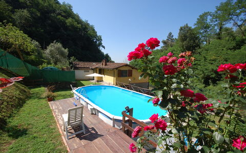 Casa Milena: Schwimmbad, Eigentum, Botanik, Blume, Freizeit, Resort, Pflanze, Garten, Urlaub, Villa