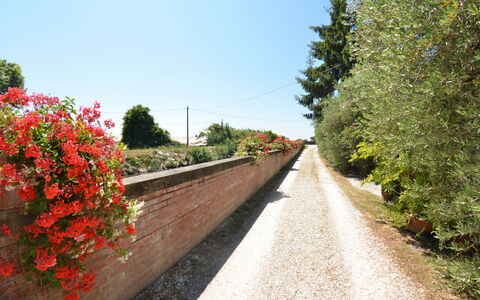 Casa Romana: Rot, Baum, Blume, Strasse, Frühling, Pflanze, Fahrbahn, Botanik, Walkway, Strauch