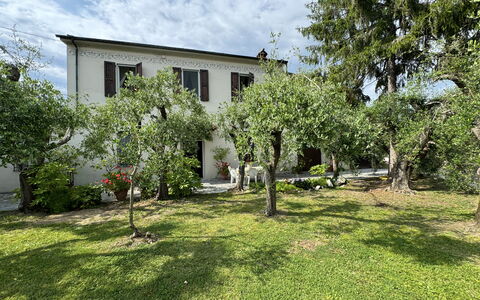 Casa Romana: Haus, Strauch, Wohngebiet, Garten, Zuhause, Rasen, Hinterhof, Garten, Estate