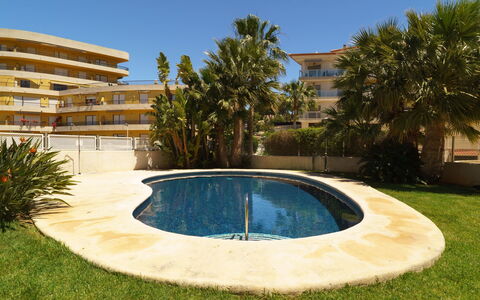 Sueno del Mar: Eigentum, Schwimmbad, Gras, Grundeigentum, Haus, Die Architektur, Hinterhof, Wasser, Gebäude, Zuhause