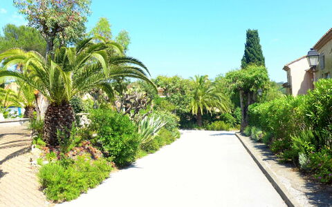 La Croix-Valmer 112: Vegetation, Eigentum, Garten, Grundeigentum, Baum, Botanischer Garten, Walkway, Botanik, Wohngebiet, Pflanze