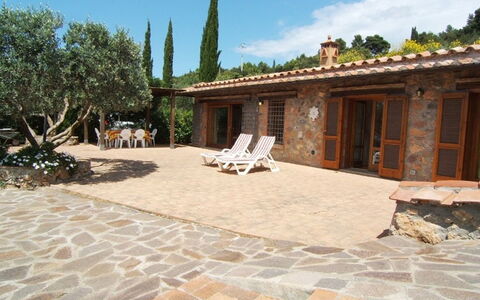 Raggio Di Sole Sull'argentario: Eigentum, Gebäude, Haus, Estate, Terrasse, Flagstone, Zuhause, Grundeigentum, Hof, Baum
