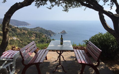 Raggio Di Sole Sull'argentario: Baum, Himmel, Meer, Urlaub, Tourismus, Küste, Möbel, Tabelle, Bucht, Resort