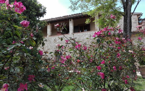 Agriturismo La Pieve: Blume, Eigentum, Pflanze, Haus, Rosa, Botanik, Baum, Frühling, Ländliches Gebiet, Gebäude