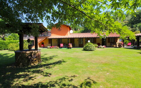Villa le Balze: Pflanze, Eigentum, Gebäude, Blatt, Schatten, Baum, Grundstueck, Natürliche Landschaft, Freizeit, Öffentlicher Raum