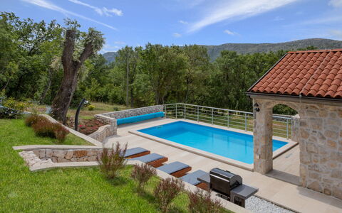Villa Matija: Pflanze, Wasser, Wolke, Himmel, Schwimmbad, Gebäude, Baum, Grundstueck, Schatten, Freizeit