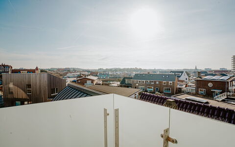 De Zeeparel: Verbundwerkstoff, Daylighting, Sperrholz, Balkon