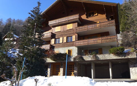 La Tour D'Antheme: Eigentum, Haus, Winter, Gebäude, Zuhause, Die Architektur, Grundeigentum, Schnee, Wohnung, Fassade