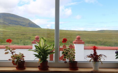 Flo Anndra: Blume, Wolke, Himmel, Pflanze, Blumentopf, Fenster, Zimmerpflanze, Interior Design, Holz, Landschaft