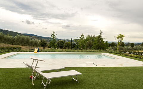 Garden and swimming pool
