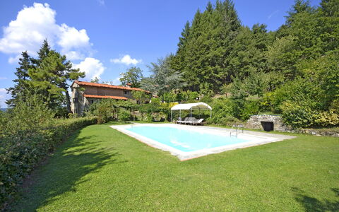 Villa Magnolia: Eigentum, Gras, Haus, Natürliche Landschaft, Estate, Grundeigentum, Zuhause, Gebäude, Garten, Hinterhof