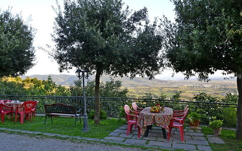Appartamento Luna: Baum, Freizeit, Botanik, Gehölz, Gras, Frühling, Ländliches Gebiet, Möbel, Garten, Sommer