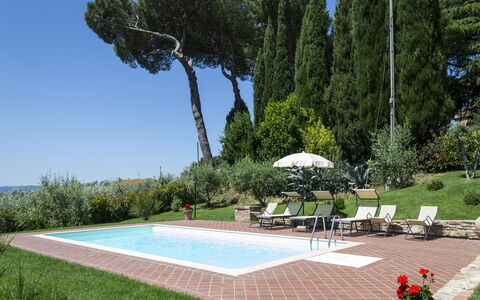Villa Camelia: Eigentum, Baum, Gras, Rasen, Grundeigentum, Landschaft, Landscaping, Park, Garten, Die Architektur