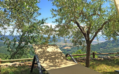 Villa Del Sole: Baum, Gehölz, Pflanze, Naturschutzgebiet, Kanu Birke, Grundeigentum, Ebene, Tabelle, Schatten