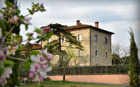 Villa Il Palazzo: Blume, Pflanze, Himmel, Wolke, Gebäude, Fenster, Haus, Blütenblatt, Gras, Wand