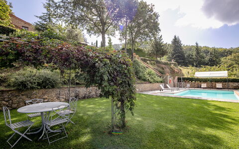 Villa Ginestra: Eigentum, Natur, Gras, Grün, Haus, Schwimmbad, Grundeigentum, Estate, Hinterhof, Rasen