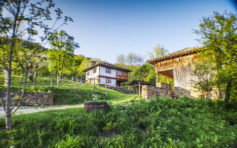 Karashka: Haus, Eigentum, Vegetation, Zuhause, Grün, Grundeigentum, Daytime, Die Architektur, Baum, Gebäude