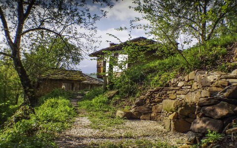 Karashka: Vegetation, Natürliche Landschaft, Natur, Grün, Baum, Haus, Wand, Steinwand, Ländliches Gebiet, \Fels