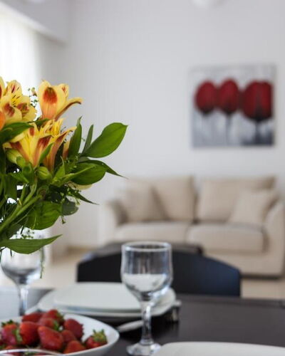 3 Bdr Apartment